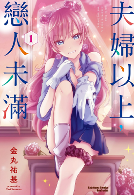 夫妇以上恋人未满 1-10卷 金丸祐基 漫画百度网盘下载