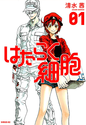 工作细胞 1-4卷 清水茜 漫画百度网盘下载