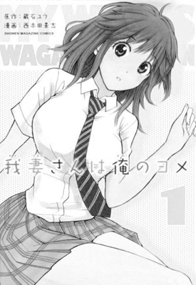 我妻同学是我妻子 1-12卷 西木田景志 漫画百度网盘下载