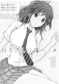 我妻同学是我妻子 1-12卷 西木田景志 漫画百度网盘下载